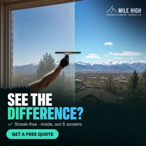 Meta ad: seasonal promo